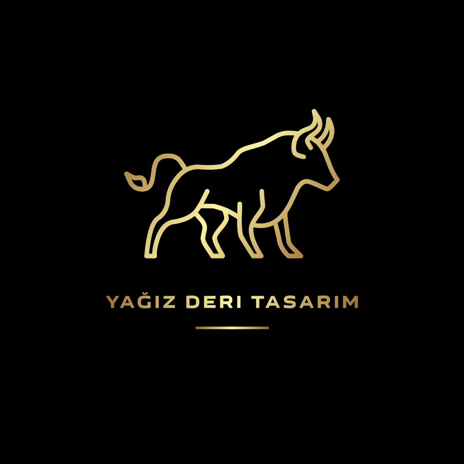 YAĞIZ DERİ TASARIM